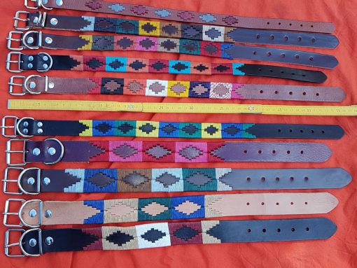 Collares para Perro